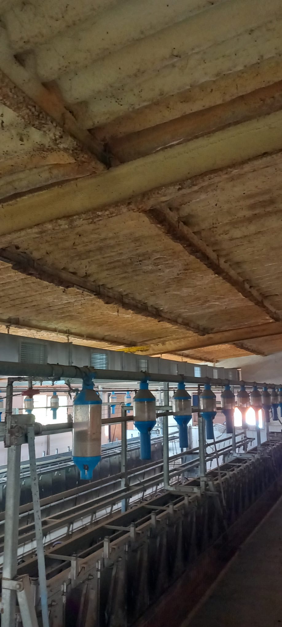 Refrigeración de las salas de ordeño